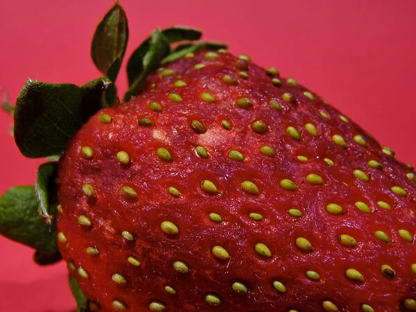 Strawberry isolated on red background