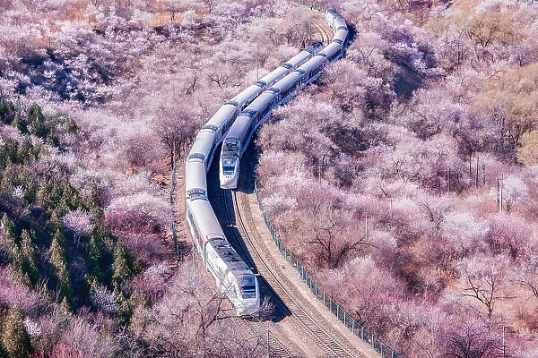 The Train to Spring