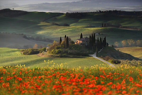 Tuscany Spring