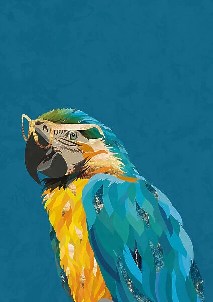 Vibrant macaw wearing glasses