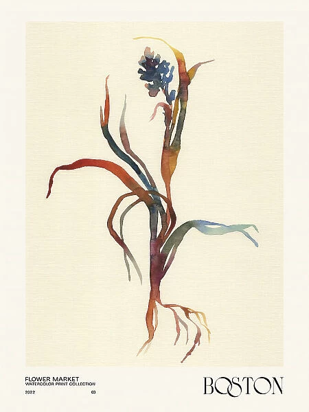 Watercolor print collection. Flower market - Boston