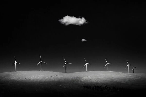Windmills. Tony Xu