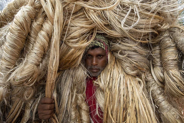 Workers carry heavy jute fibers on their shoulders