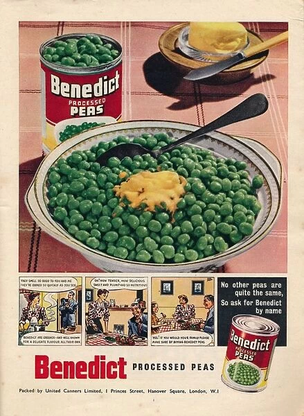 Advert for Benedict processed peas, 1951