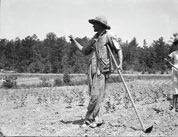 Alabama tenant farmer near Anniston, Alabama, 1936. Creator: Dorothea Lange