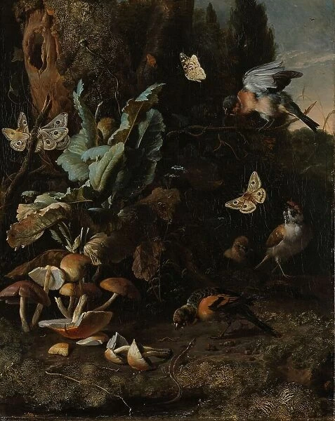 Animals and Plants, c.1668. Creator: Melchior d'Hondecoeter