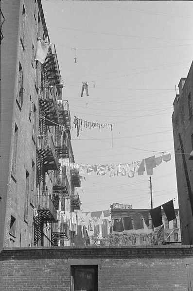 Apartment houses from the rear, 61st Street between 1st and 3rd Avenues, New York, 1938. Creator: Walker Evans