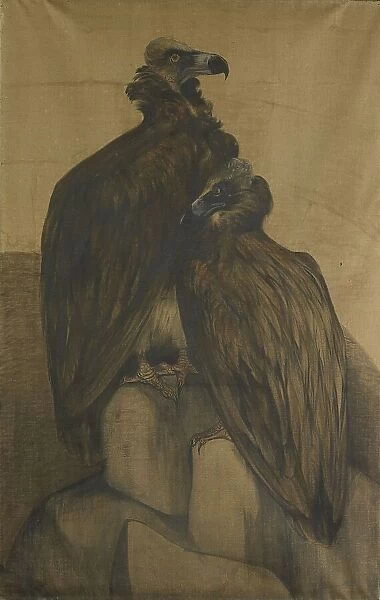 Two Arabian Vultures, 1885-1917. Creator: Theo van Hoytema