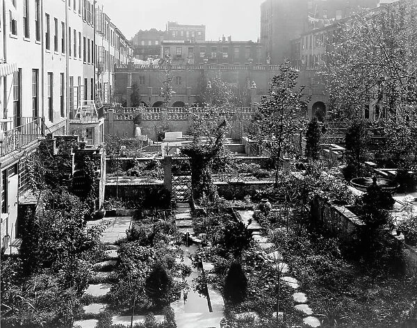 Backyard gardens in New York City, 1920. Creator: Frances Benjamin Johnston