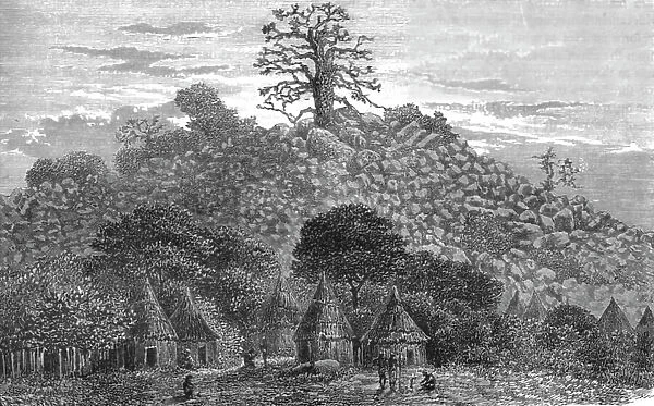 The Baobab Tree of Kouroundingkoto; Journey from the Senegal to the Niger, 1875. Creator: Unknown