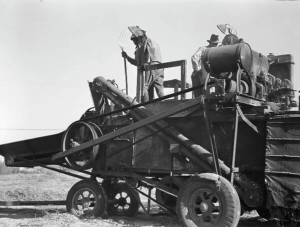 Bean thresher, mechanized agriculture between Turlock and Merced, California, 1936. Creator: Dorothea Lange