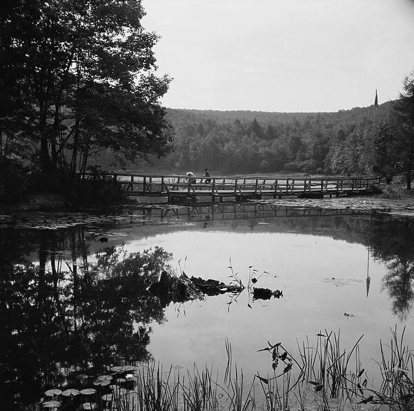 Bridge and background scenery, Camp Gaylord White, Arden, New York, 1943. Creator: Gordon Parks