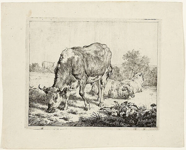 Bull Grazing and Three Sheep, 1670. Creator: Adriaen van de Velde