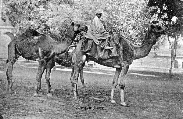 Campbellpore, Pakistan, 20th century