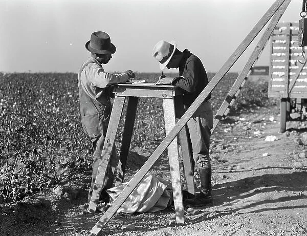 Cotton checkers, San Joaquin Valley, California, 1936. Creator: Dorothea Lange