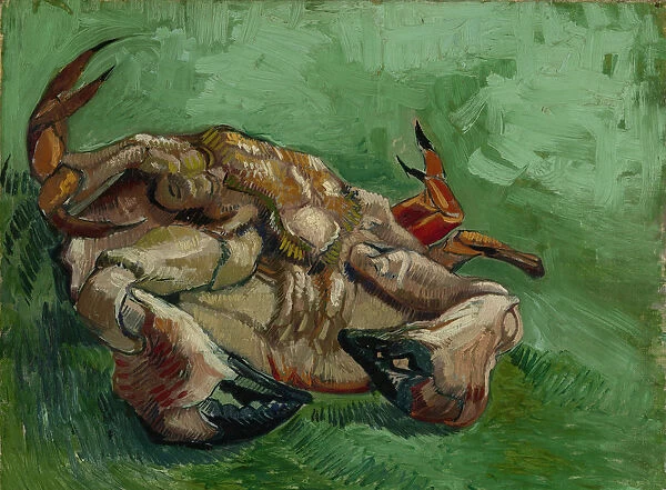 A crab, lying on his back, 1889. Artist: Gogh, Vincent, van (1853-1890)