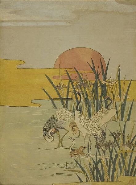 Cranes in an Iris Pond at Sunrise, c. 1774. Creator: Isoda Koryusai