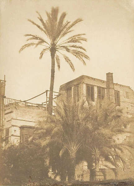 Dattiers et Maison du quartier Franc, au Kaire, December 1849-January 1850