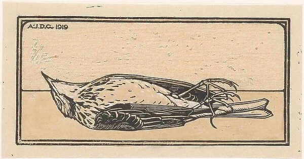 Dead bird, 1919. Creator: Julie de Graag