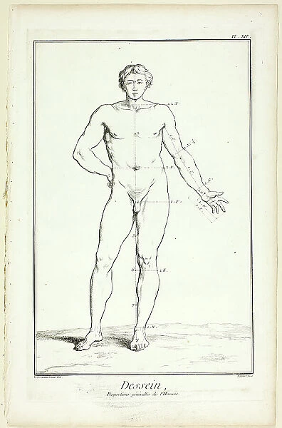 Design: General Proportions of the Male, from Encyclopédie, 1762 / 77. Creator: A. J. Defehrt