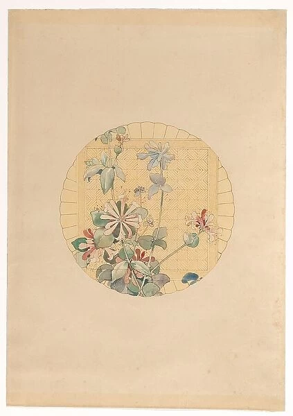 Design for the painting of motif for the manufacture Vieillard in Bordeaux, with honeysuckle, c.1875 Creator: Anon