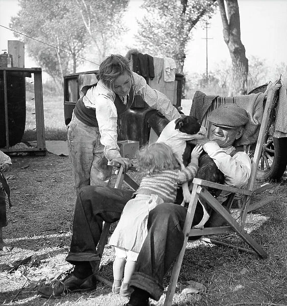 Destitute family, American River camp, Sacramento, California. 1936. Creator: Dorothea Lange