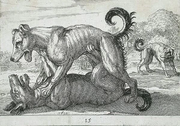 Two Dogs Fighting, 1610. Creator: Hendrick Hondius I
