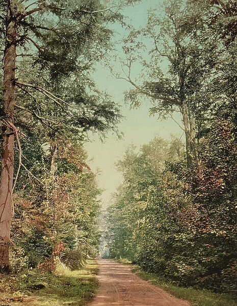 The Drive on Presque Isle [Park], Lake Superior, c1898. Creator: Unknown
