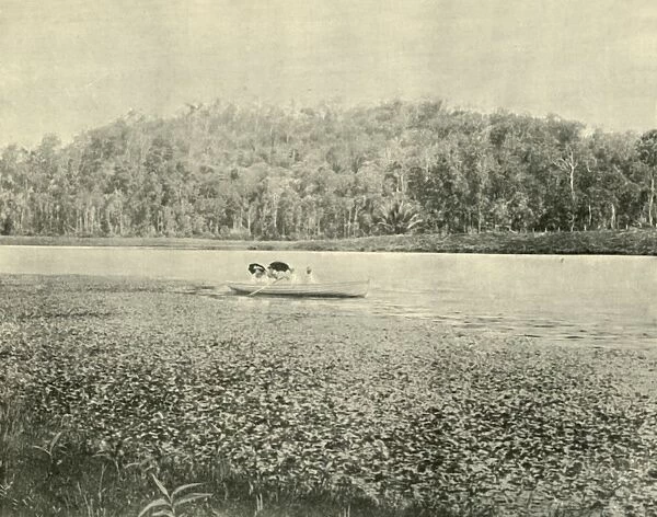 On the Enoggera Lake, 1901. Creator: Unknown