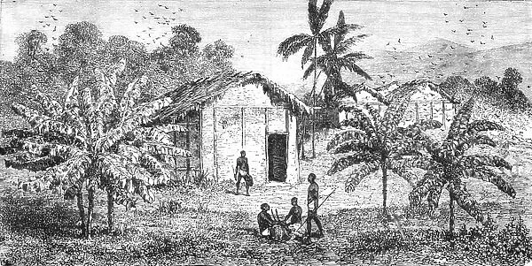 Fetiche Banana trees; The Gaboon. 1875. Creator: Unknown
