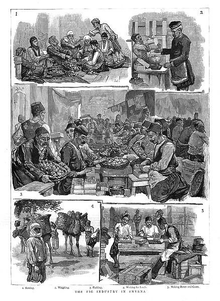 The Fig industry in Smyrna, 1886. Creator: Unknown