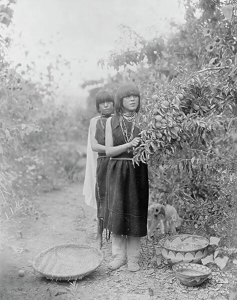 The fruit gatherers, c1905. Creator: Edward Sheriff Curtis