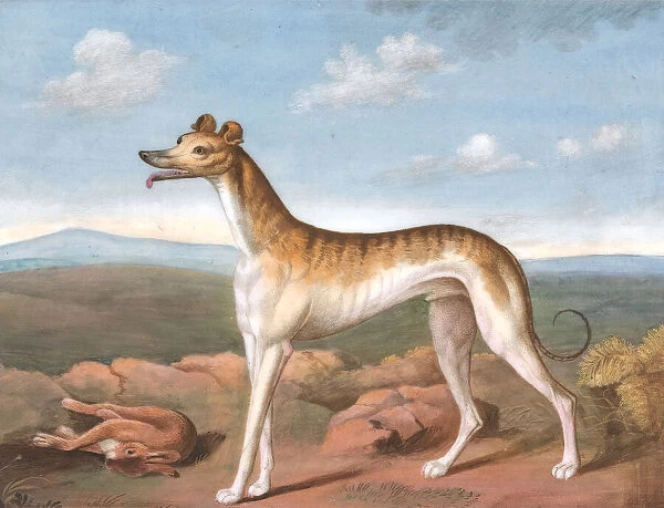 Greyhound: Facing Left, with a Dead Hare at His Feet, ca. 1805. Creator: Unknown