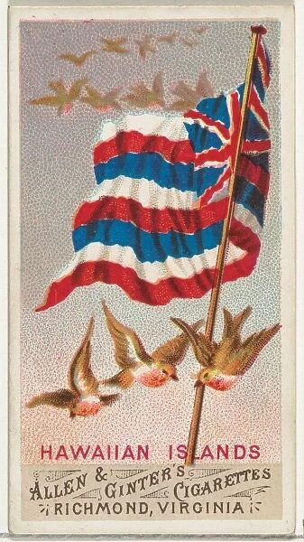 Hawaiian Islands, from Flags of All Nations, Series 1 (N9) for Allen &