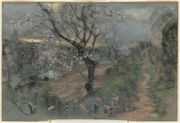 A Hillside Path with Blooming Cherry Trees under an Overcast Sky, 1905. Creator: Francesco Paolo Michetti