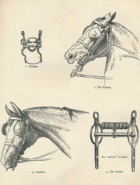 Horse bits, good and bad, c1909 (c1910)