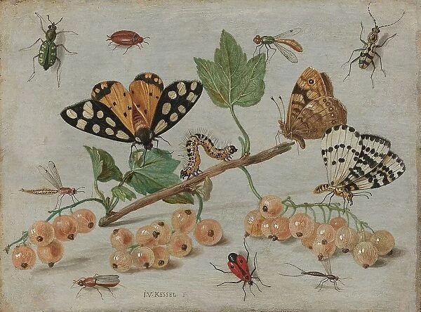 Insects and Fruit, c.1653-c.1661. Creator: Jan van Kessel