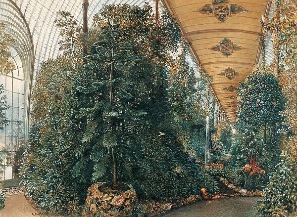 Interior of the Palm House of Lednice Palace. Artist: Alt, Rudolf von (1812-1905)