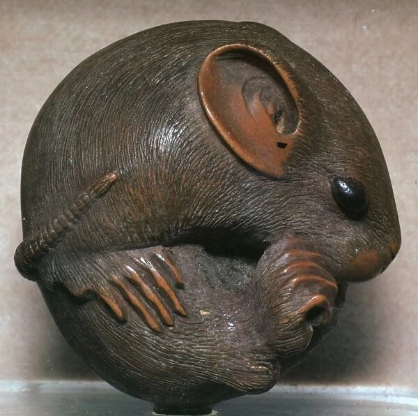 Japanese Netsuke of a rat, 19th century