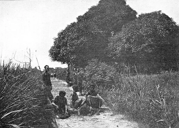 La taille d'un sentier dans les forets du Congo Belge; L'Ouest Africain, 1914. Creator: Unknown