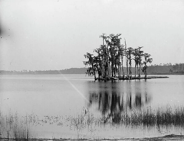 Lake Louise near Seville, Fla. between 1880 and 1897. Creator: William H. Jackson