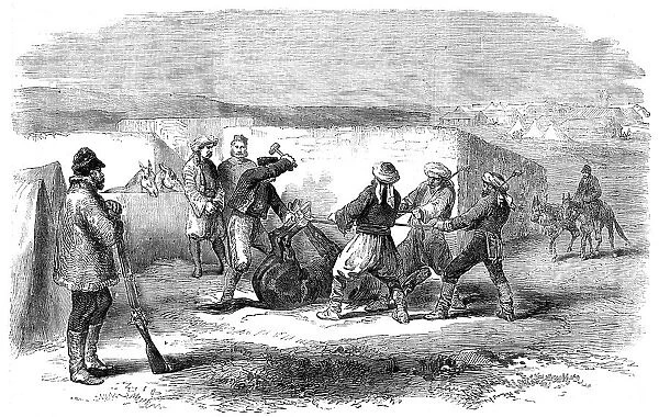The Land Transport Camp before Sebastopol - Shoeing a Refractory Mule - sketched by J. A. Crowe, 185 Creator: Unknown