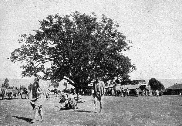Le ficus geant de la place du marche d'Addis-Abeba; Le Nord-Est Africain, 1914. Creator: Charles Chusseau-Flaviens