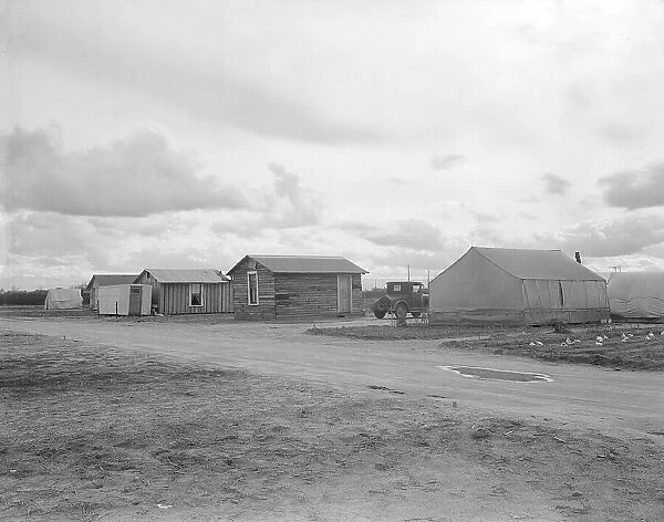 Little Oklahoma, the community that grew out of the need for help in the potato... CA, 1936. Creator: Dorothea Lange