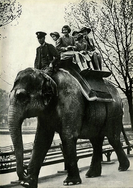 At the London Zoo - enjoying a ride on an elephant, 1939, (1947). Creator: Unknown
