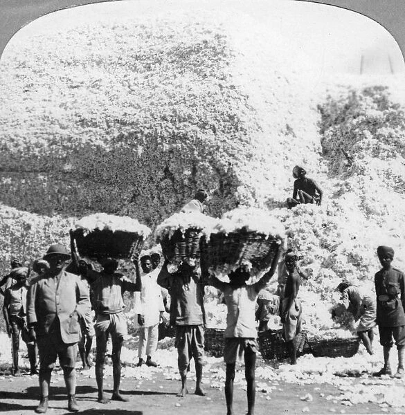 Men carrying baskets of cotton at an Indore cotton mill, India, 1900s