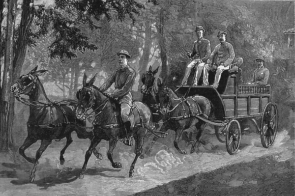 A Mule four-in-hand in Burma, 1886. Creator: Unknown
