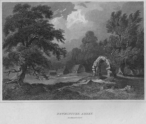 Newminster Abbey, Northumberland, 1814. Artist: John Greig