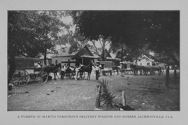 A number of Martin Ferguson's delivery wagons and horses, Jacksonville, Fla. 1902. Creator: Unknown