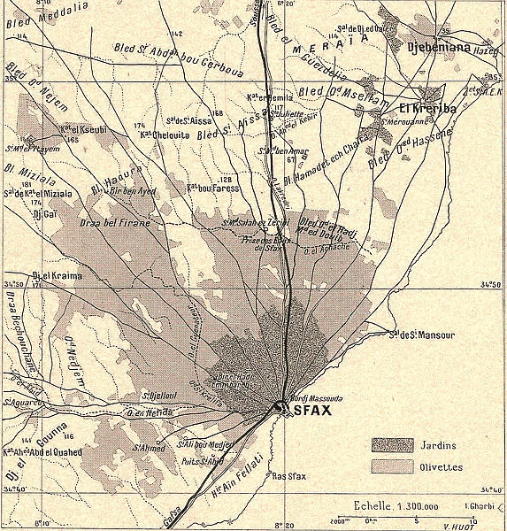 Olivettes de Sfax; Afrique du nord, 1914. Creator: Unknown